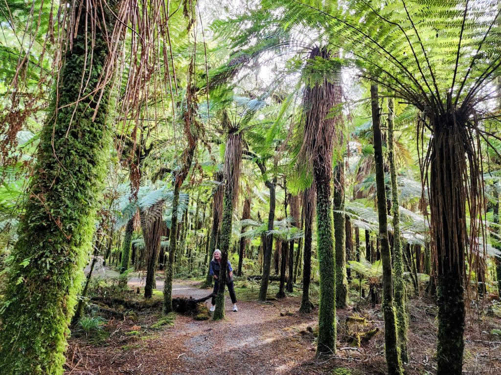 Ultimate Guide to Travel around New Zealand (2025)