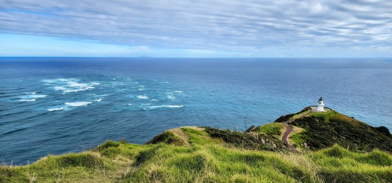Traveling the North Island in New Zealand