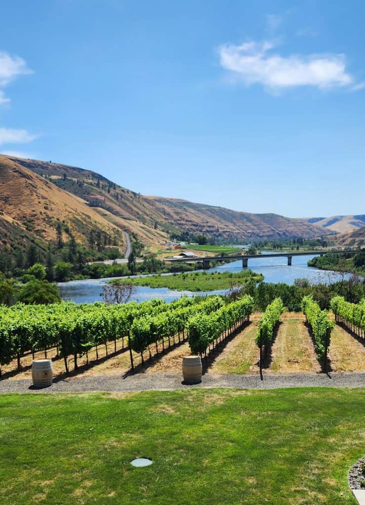 Rivaura Estate Vineyard overlooking the Clearwater River